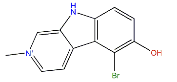 2-Methyleudistomin D